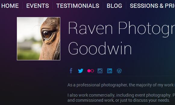 Raven Photography Website Screenshot